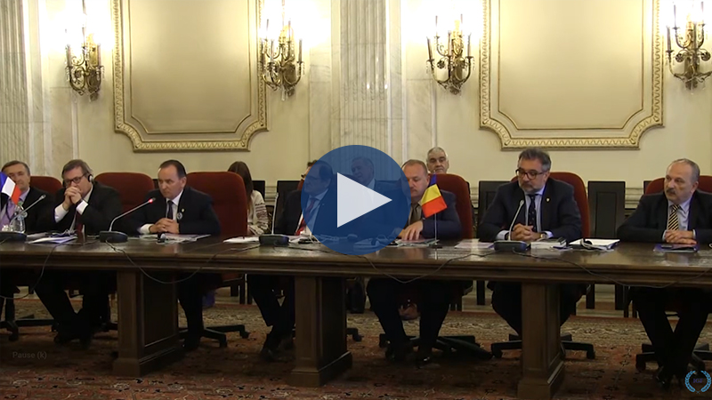Secretary of the Romanian Ministery of Culture from Romania – Speech